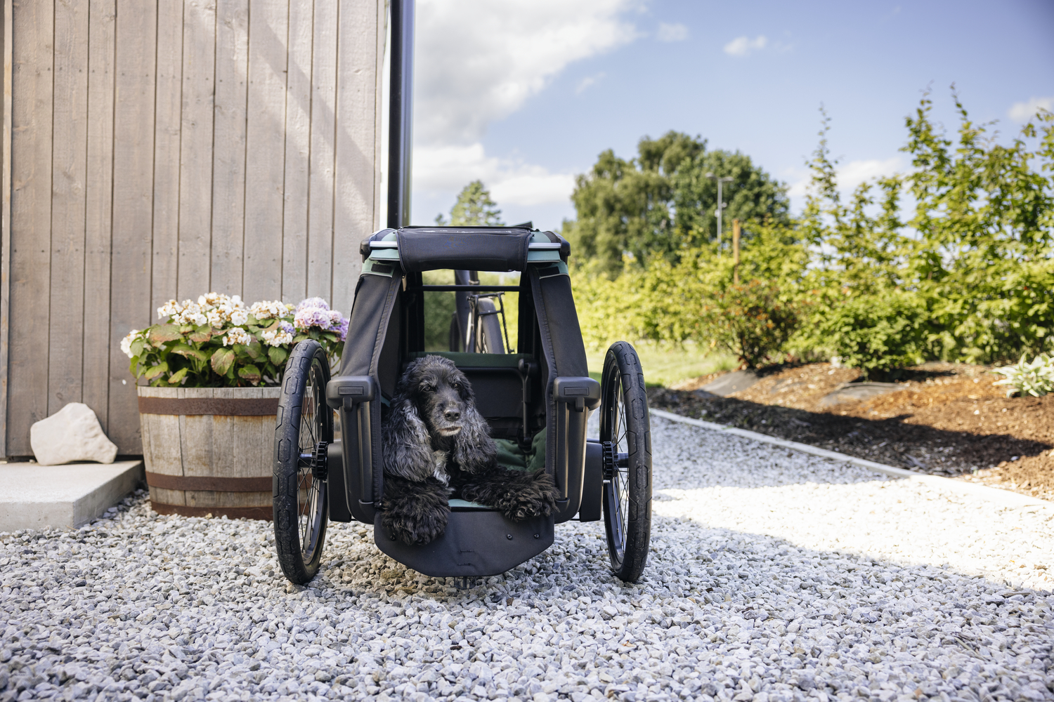 Thule Bexey Dog bike trailer Size L
