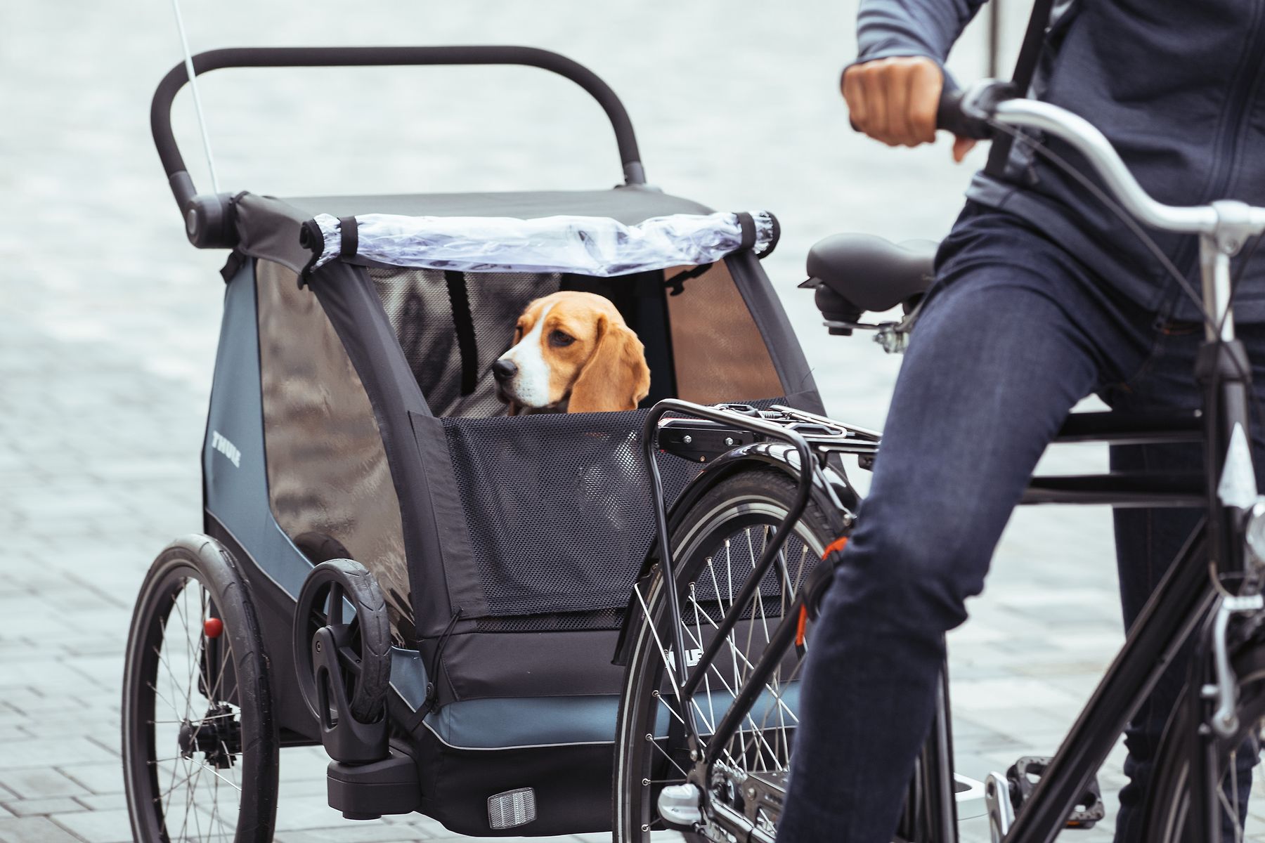 thule-courier-anwendung3 thule-courier-hundeanhaenger